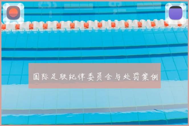国际足联纪律委员会与处罚案例