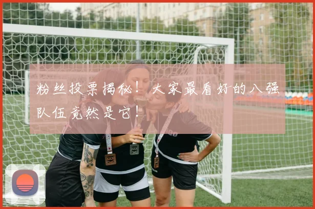 粉丝投票揭秘！大家最看好的八强队伍竟然是它！