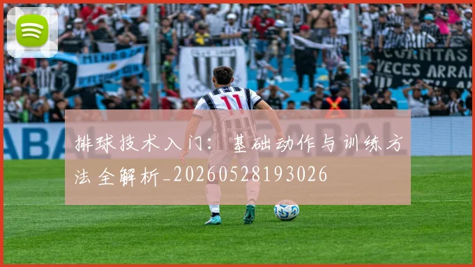 排球技术入门:基础动作与训练方法全解析_20260528193026