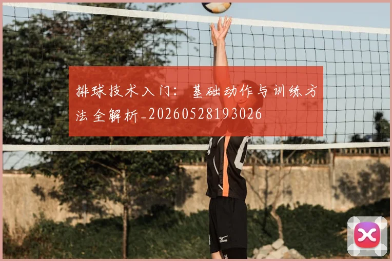 排球技术入门:基础动作与训练方法全解析_20260528193026