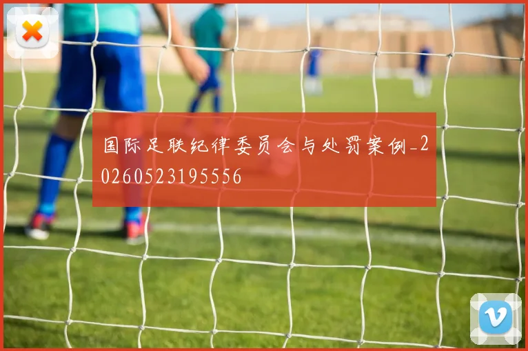 国际足联纪律委员会与处罚案例_20260523195556